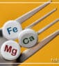Eisen, Magnesium, Kalzium richtig einnehmen - Der Schlüssel für optimale Gesundheit